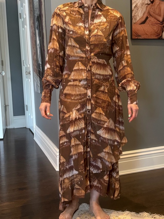 FARM Rio Dresses & Skirts - FARM Rio Brown Printed Button-Front Maxi Dress with Tan Accents
